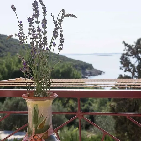 Tasha - Insel Cres 13647 Miholascica