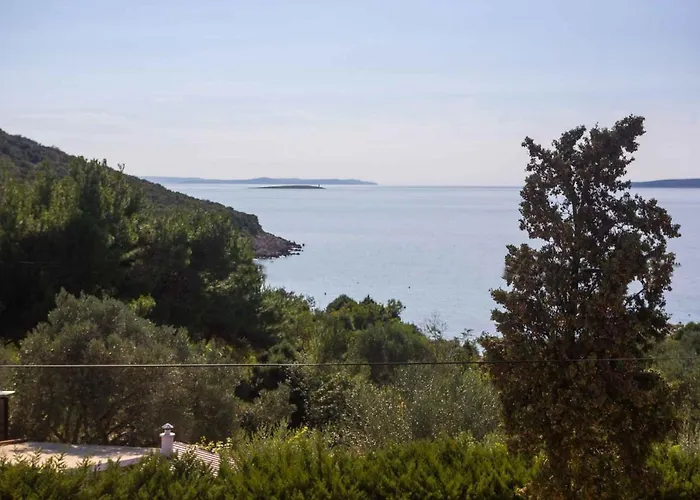 Διαμέρισμα Studio Tasha - Insel Cres 13647 Miholascica