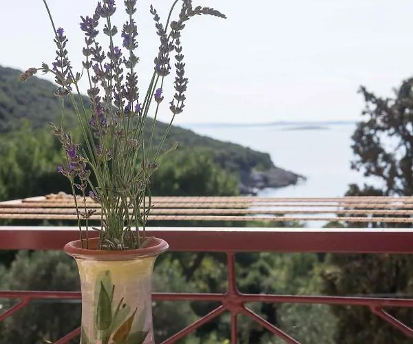 Apartment near Martinscica Catamaran Terminal in Mihojašćica Miholascica
